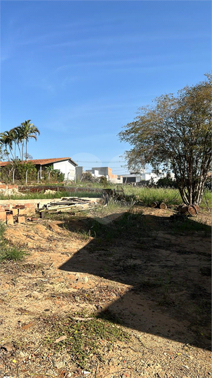 Foto REO1133081