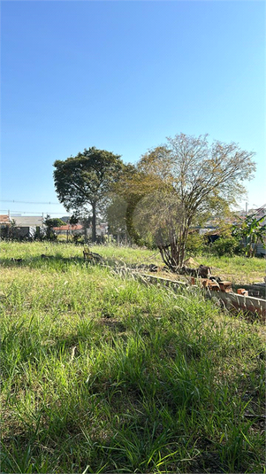 Foto REO1133081