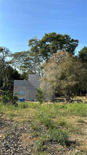 Foto REO1133081