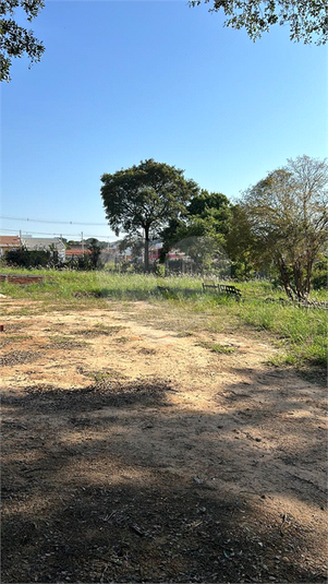 Foto REO1133081