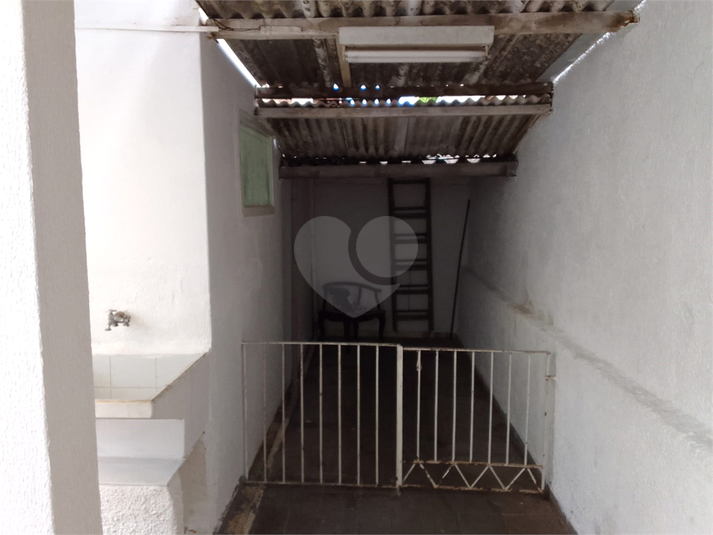 Foto REO1133106