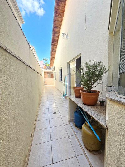 Foto REO1133107