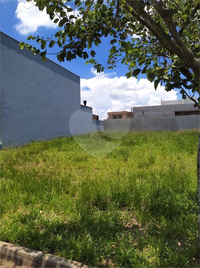 Foto REO1133117