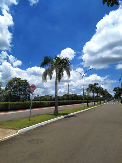 Foto REO1133117