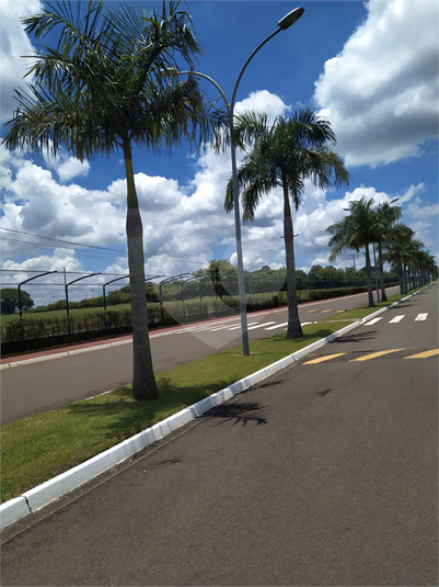 Foto REO1133117