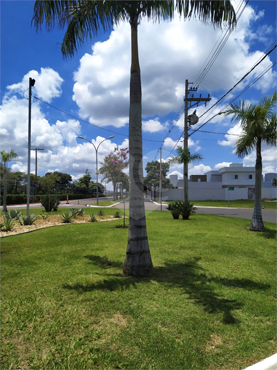 Foto REO1133117