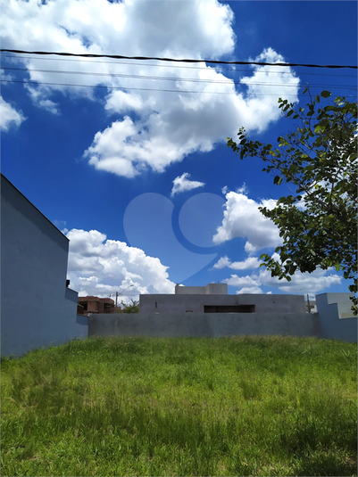 Foto REO1133117