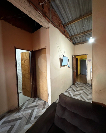 Foto REO1133127