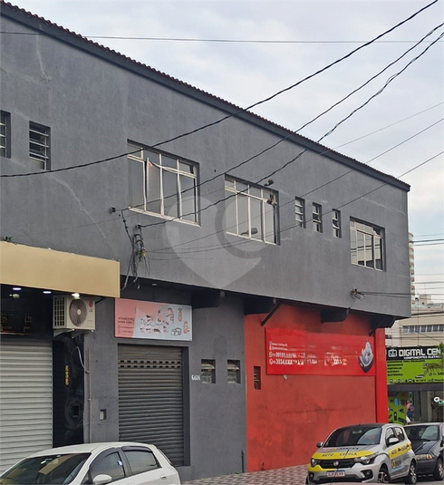 Foto REO1133132