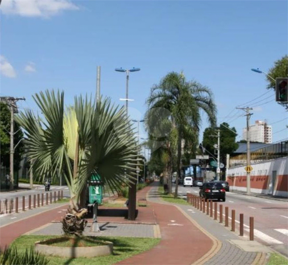 Foto REO1133132
