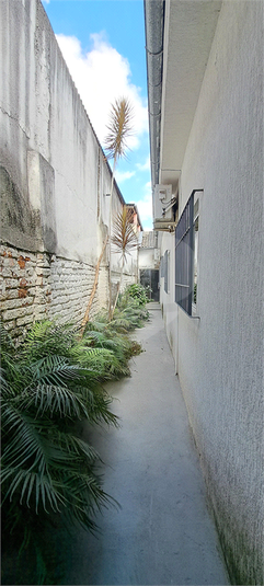 Foto REO1133138
