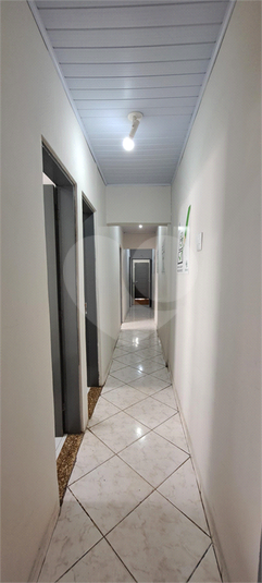 Foto REO1133138