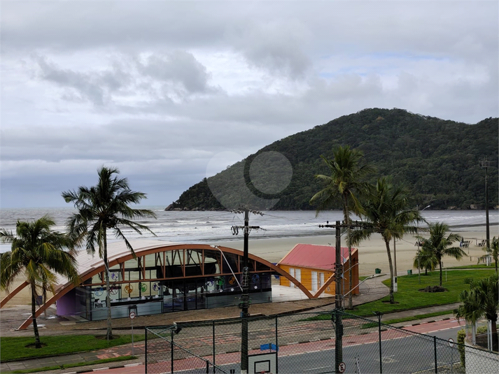 Foto REO1133152