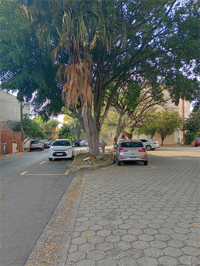 Foto REO1133153