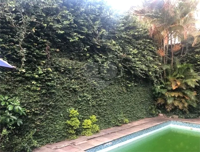Foto REO1133154