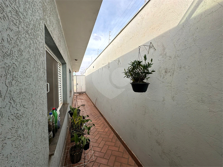 Foto REO1133160