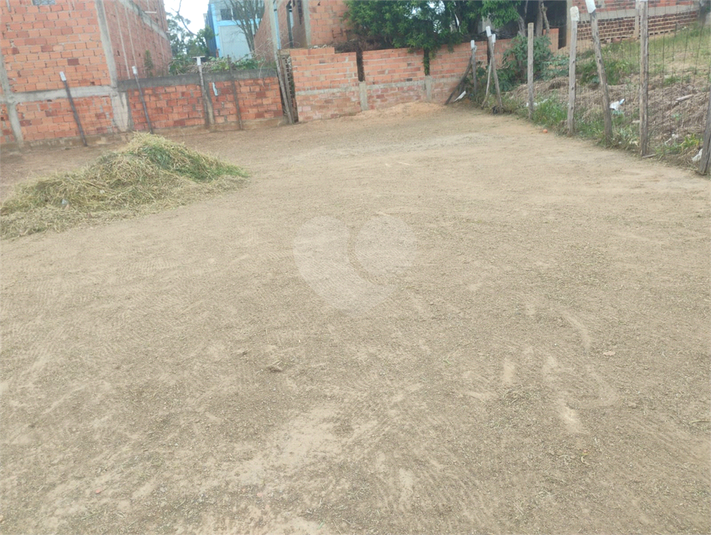 Foto REO1133161