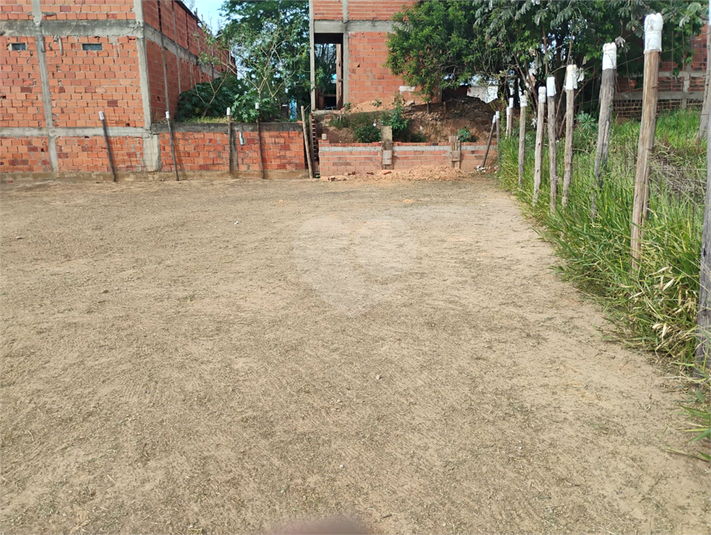 Foto REO1133161