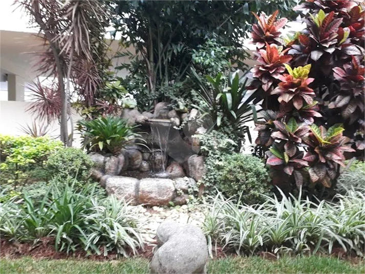 Foto REO1133162