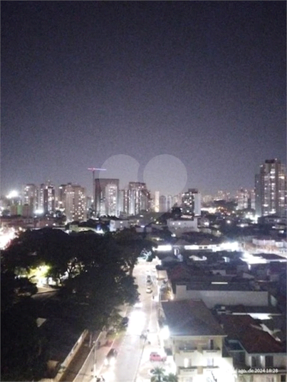 Foto REO1133162