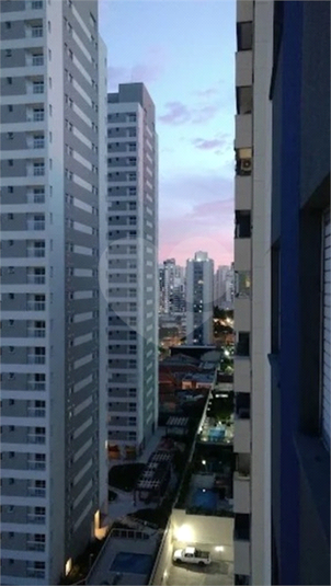 Foto REO1133162
