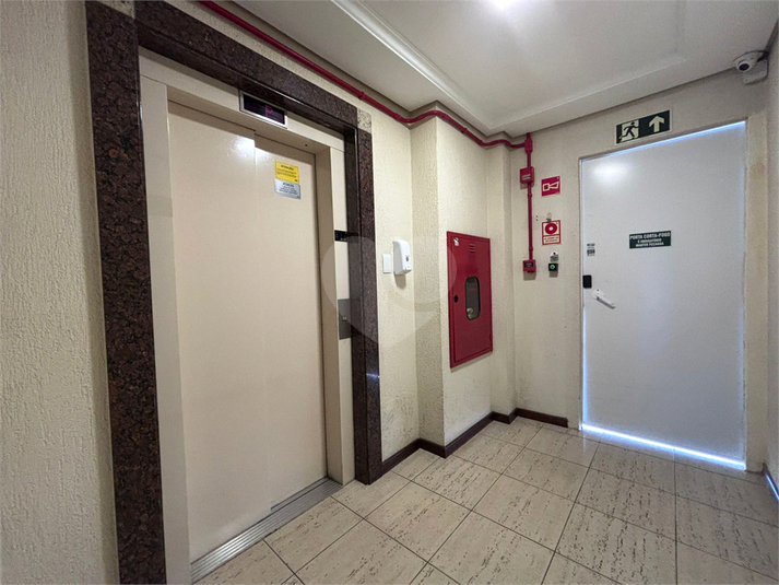 Foto REO1133171