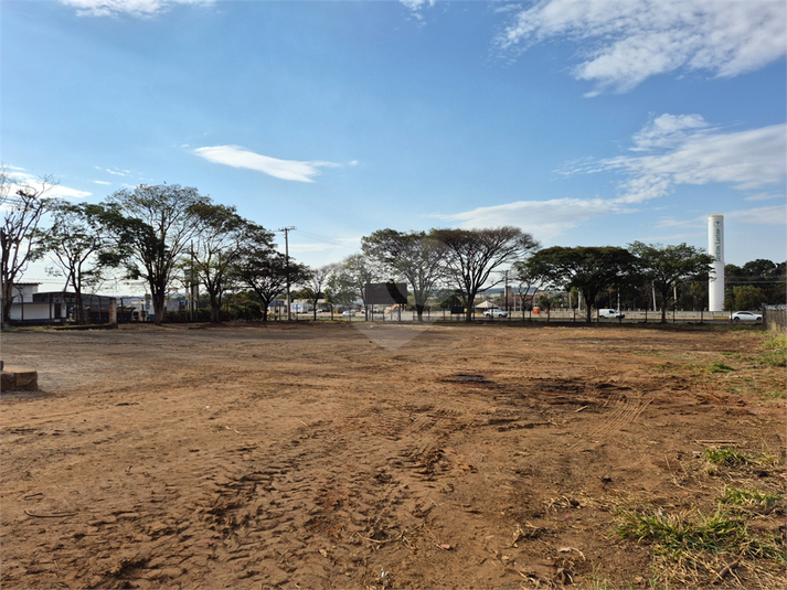 Foto REO1133177