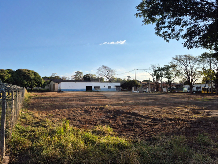 Foto REO1133177