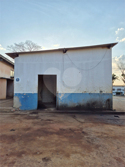 Foto REO1133177
