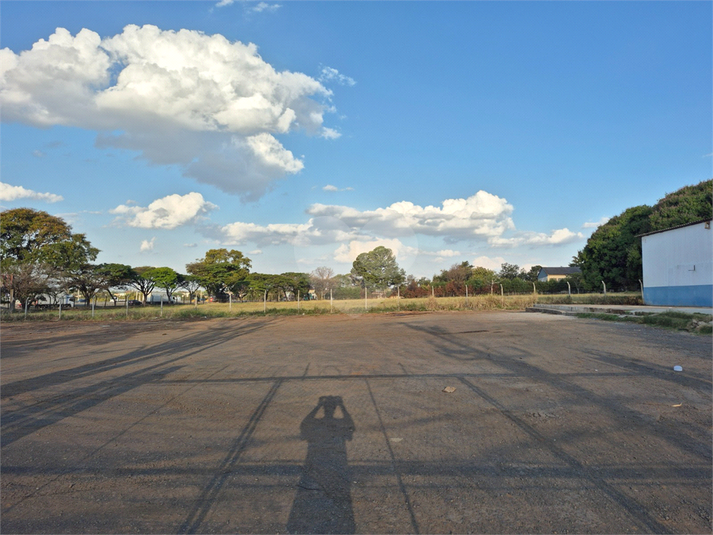 Foto REO1133177