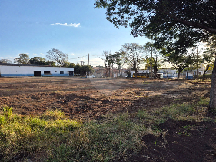 Foto REO1133177