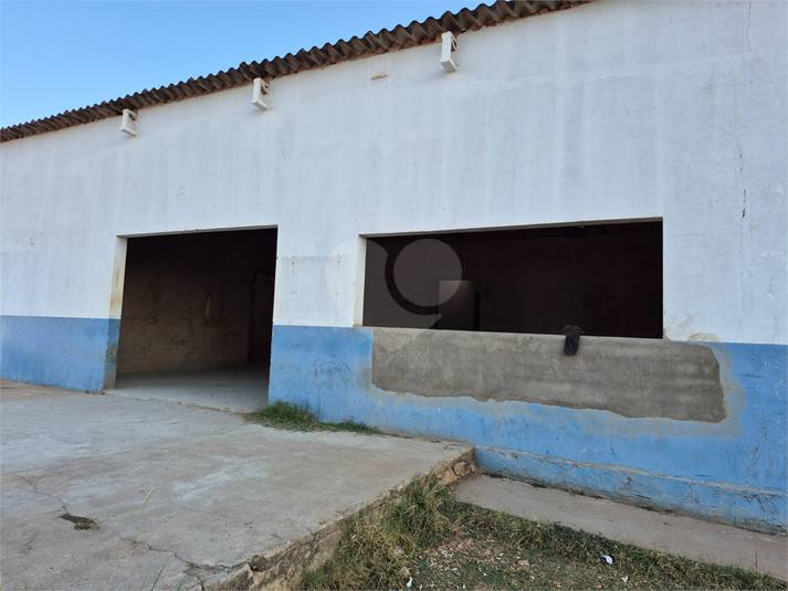 Foto REO1133177