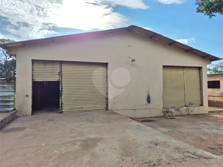 Foto REO1133177