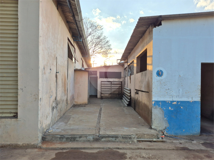 Foto REO1133177