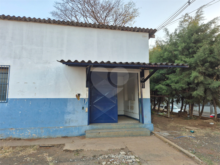 Foto REO1133177