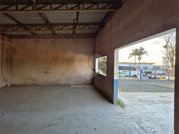 Foto REO1133177