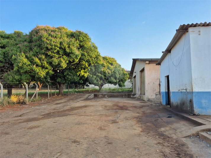 Foto REO1133177