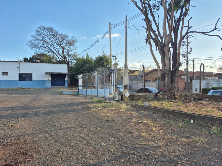 Foto REO1133177