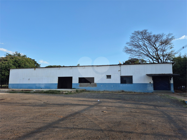 Foto REO1133177