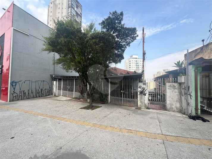 Foto REO1133192