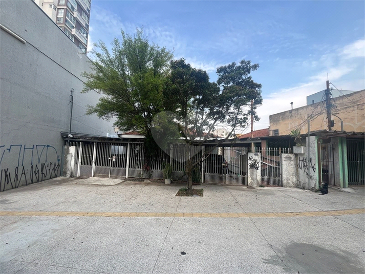 Foto REO1133192