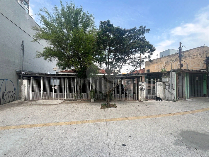 Foto REO1133192