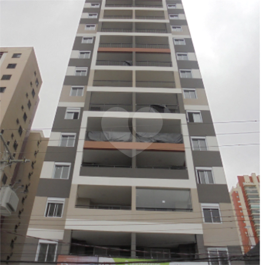 Foto REO1133197