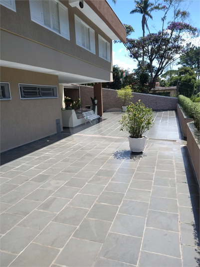 Foto REO1133199