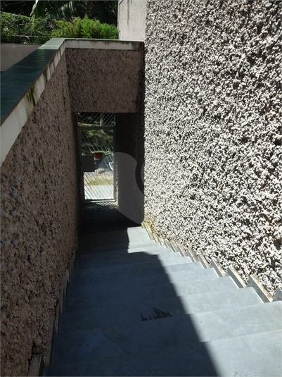 Foto REO1133199