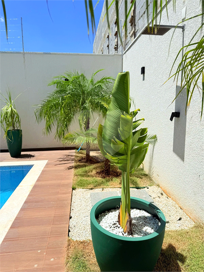 Foto REO1133215