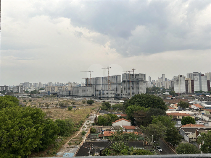 Foto REO1133224