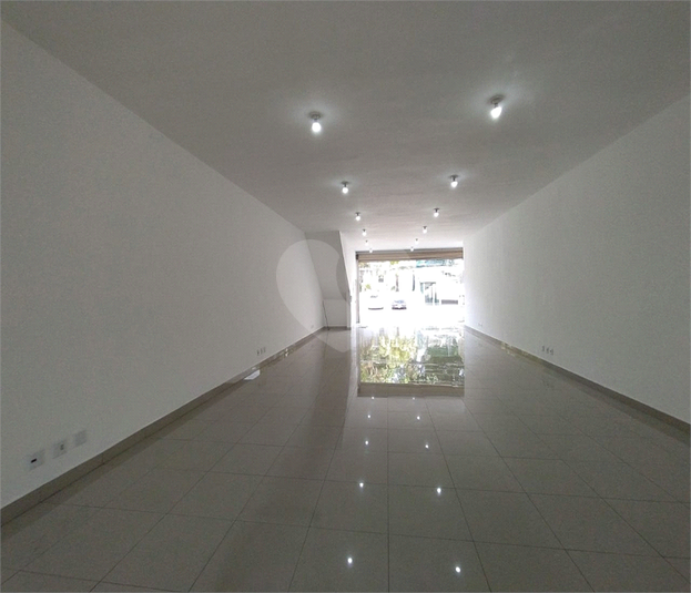 Foto REO1133227