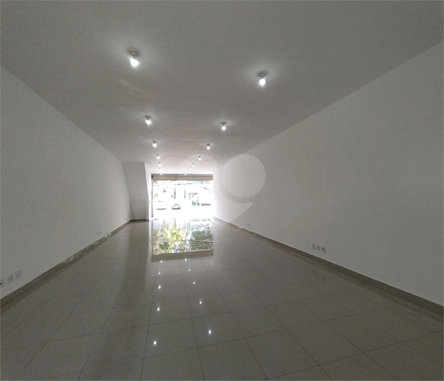 Foto REO1133227