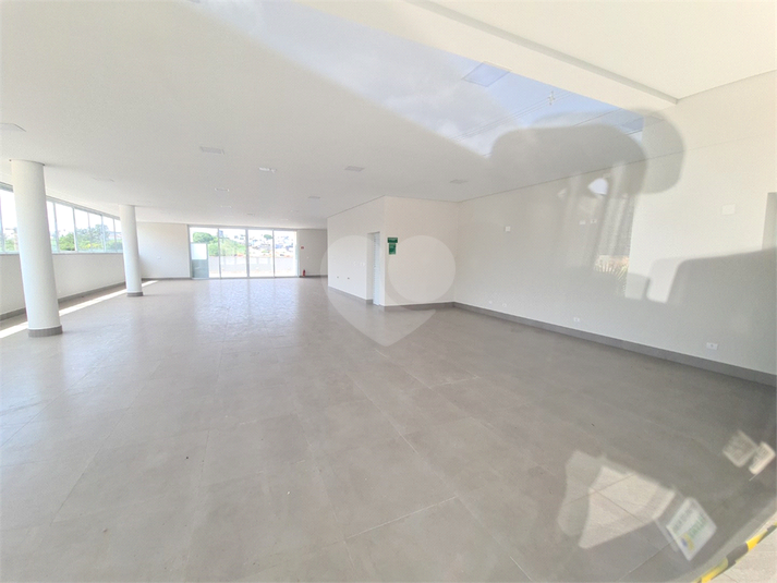 Foto REO1133244